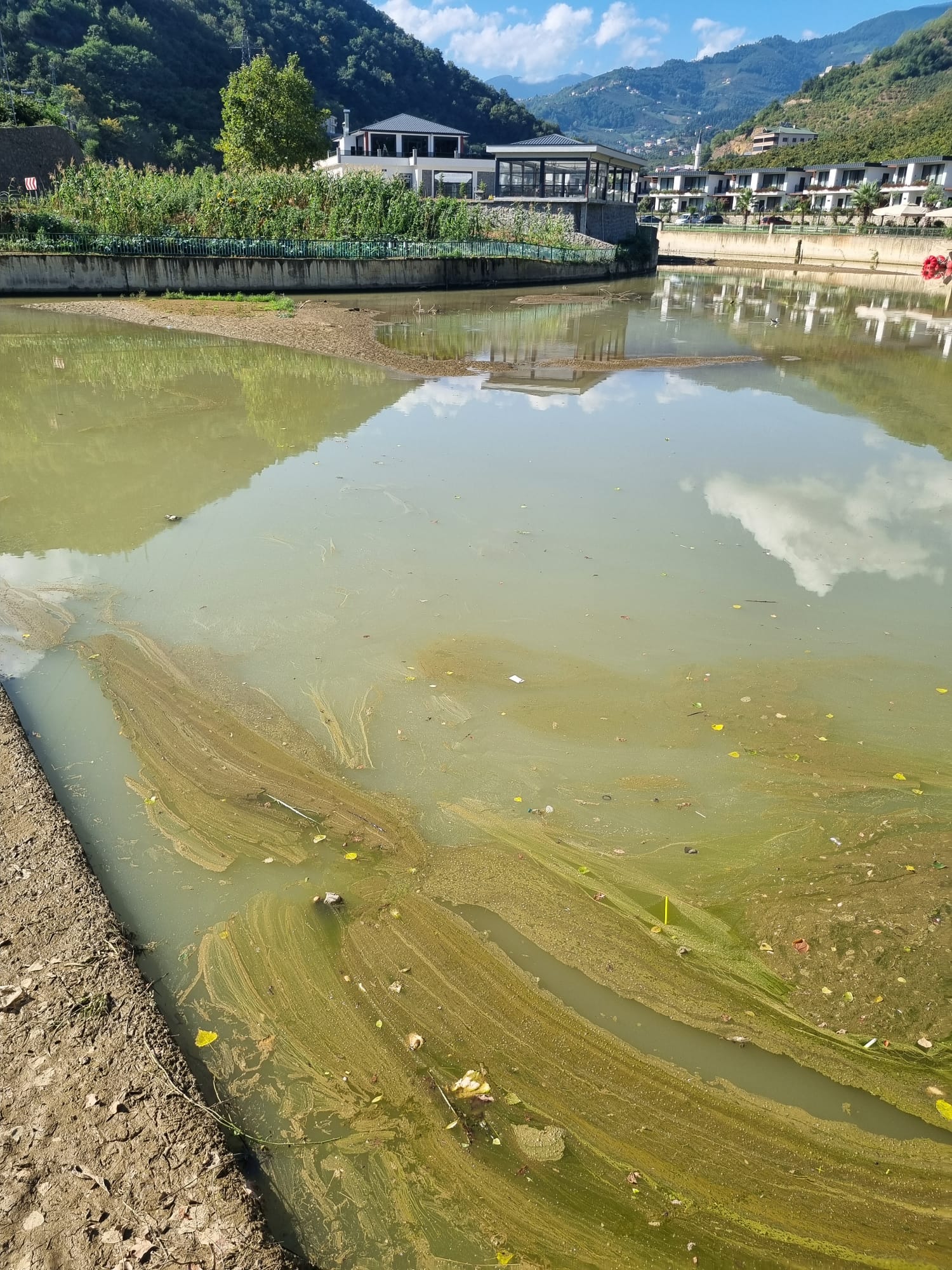 Whatsapp Image 2025 08 15 At 18.53.04