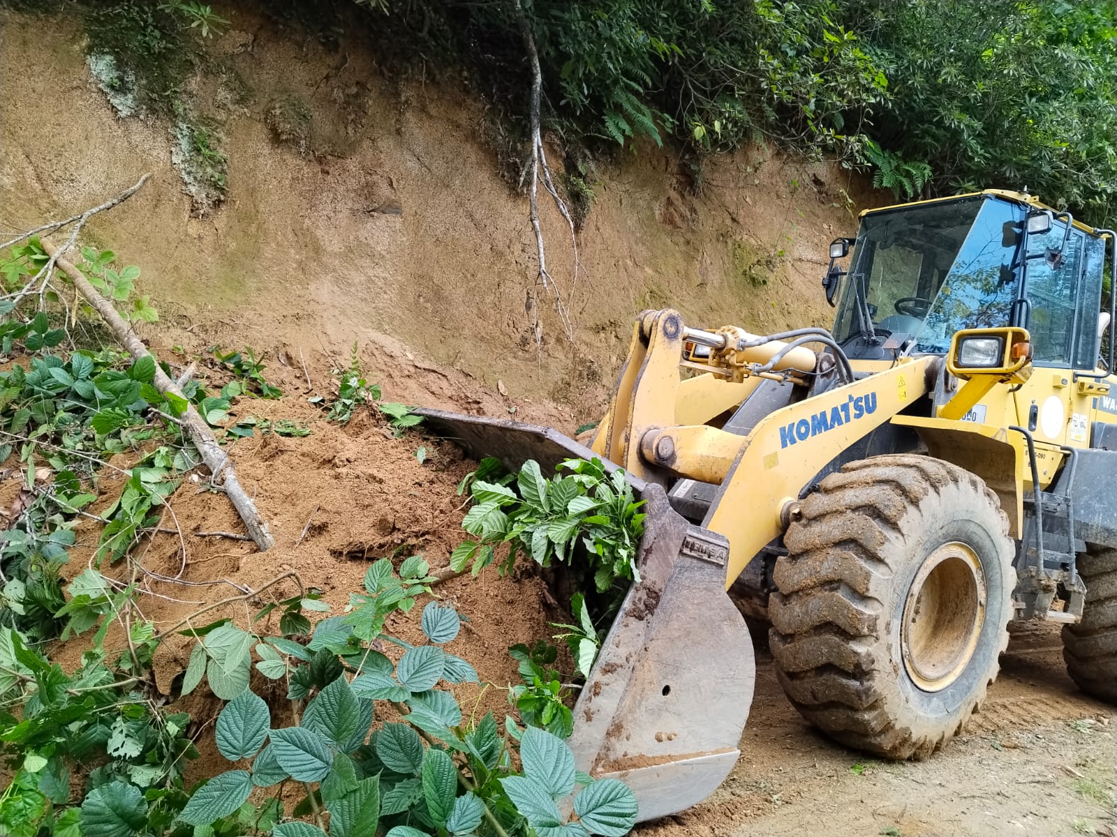 Whatsapp Image 2025 08 19 At 12.54.01 (1)