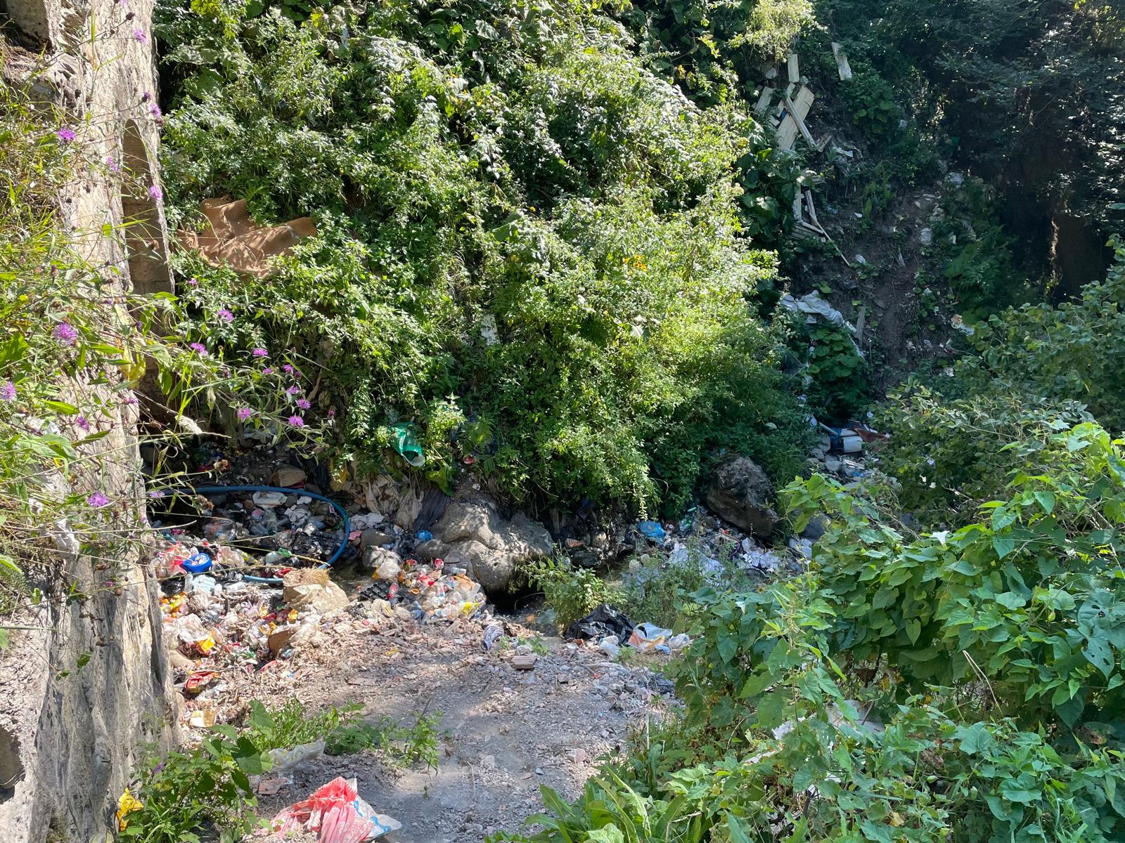 Whatsapp Image 2025 08 23 At 19.15.48 (1)