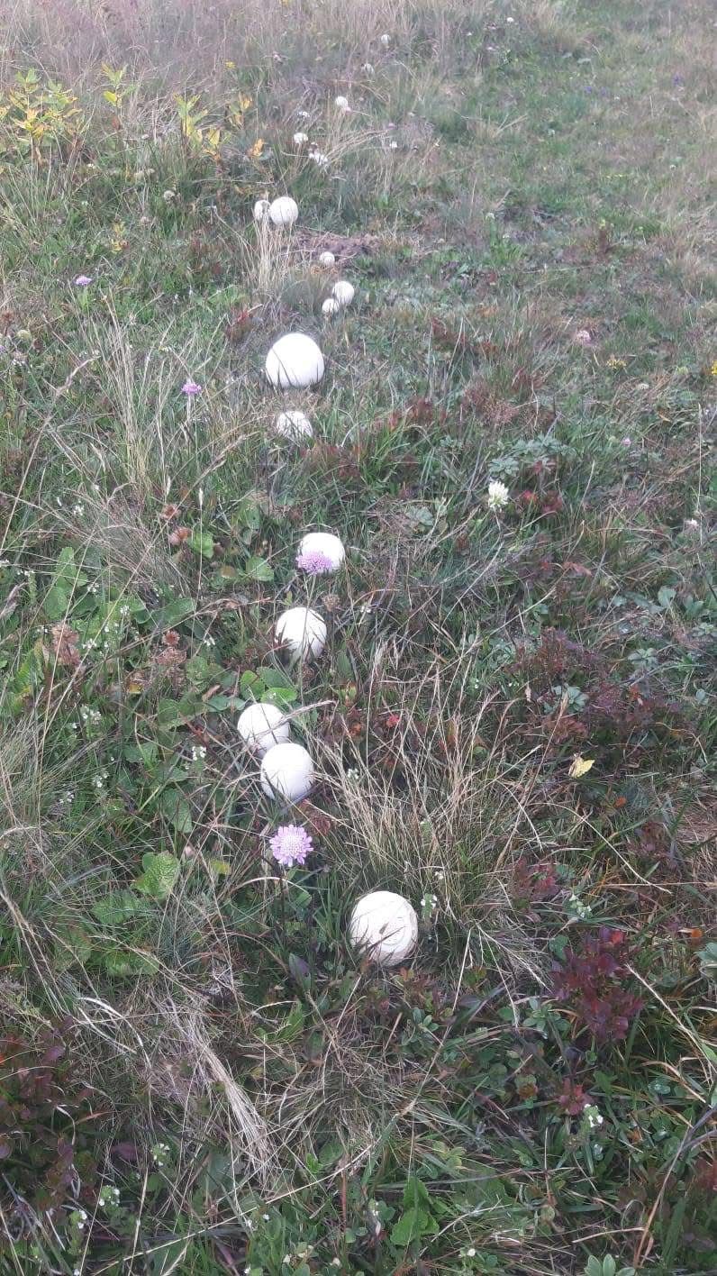 Whatsapp Image 2025 08 28 At 10.11.09 (1)