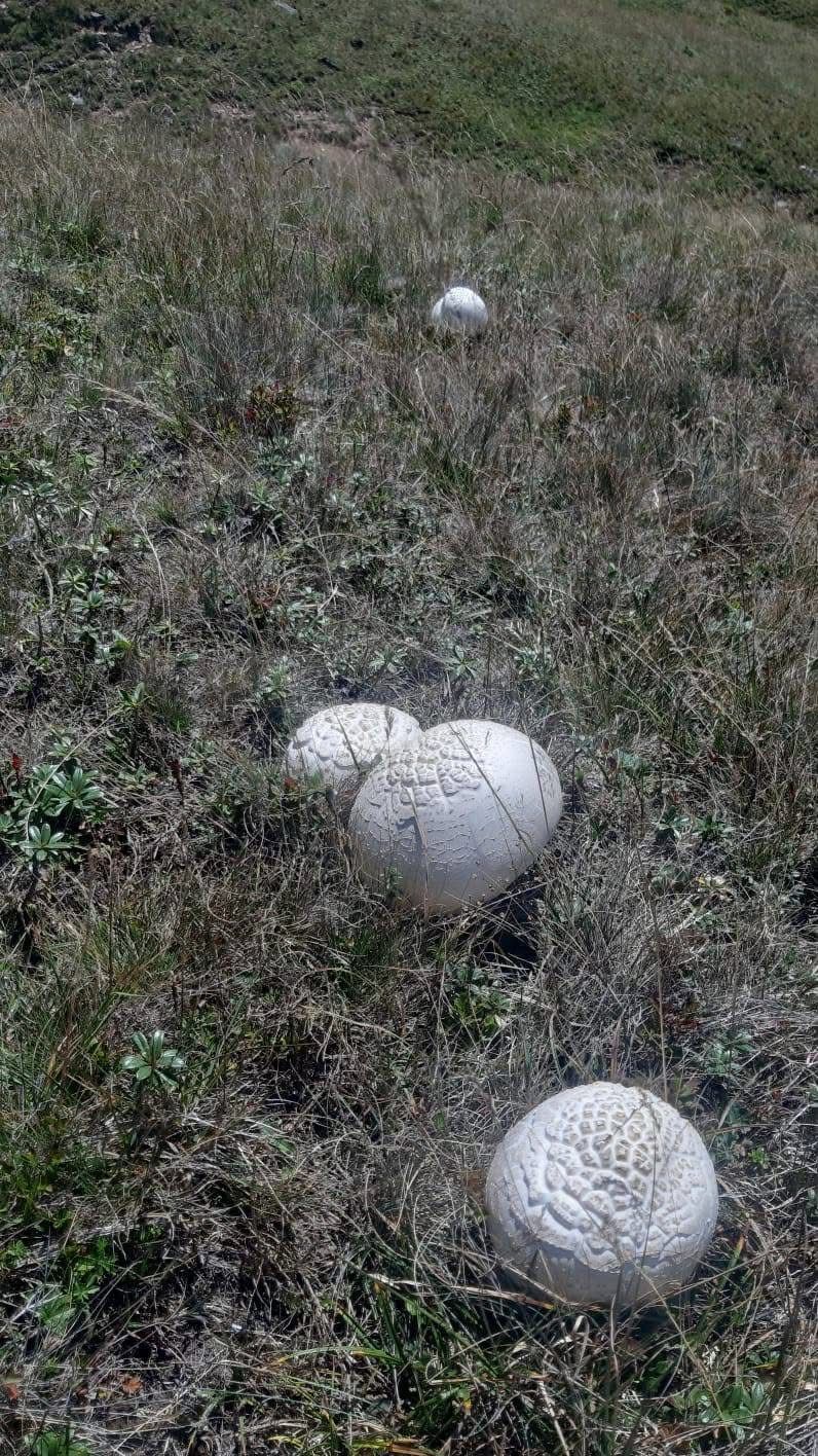 Whatsapp Image 2025 08 28 At 10.11.09 (2)