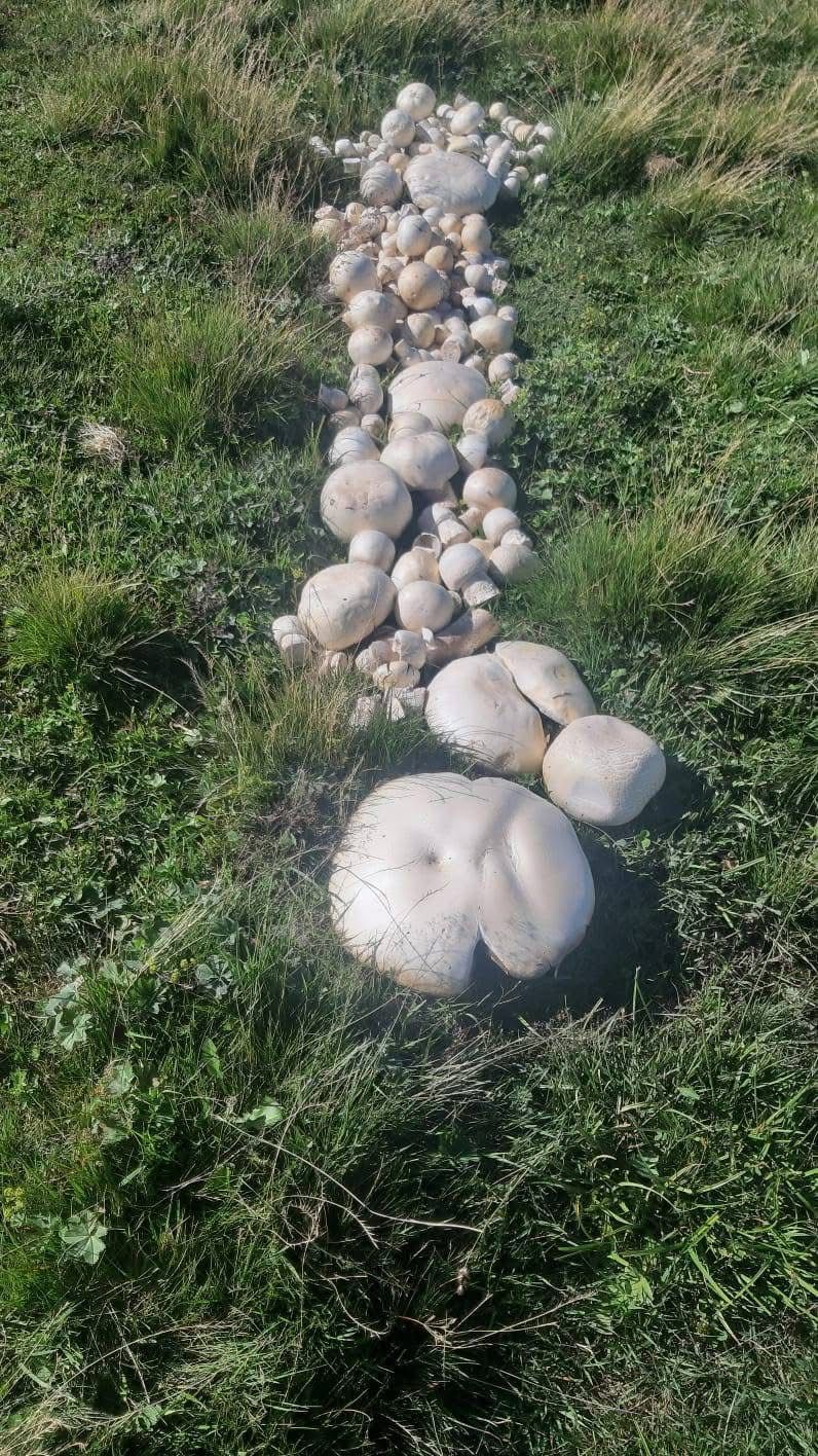 Whatsapp Image 2025 08 28 At 10.11.09 (3)