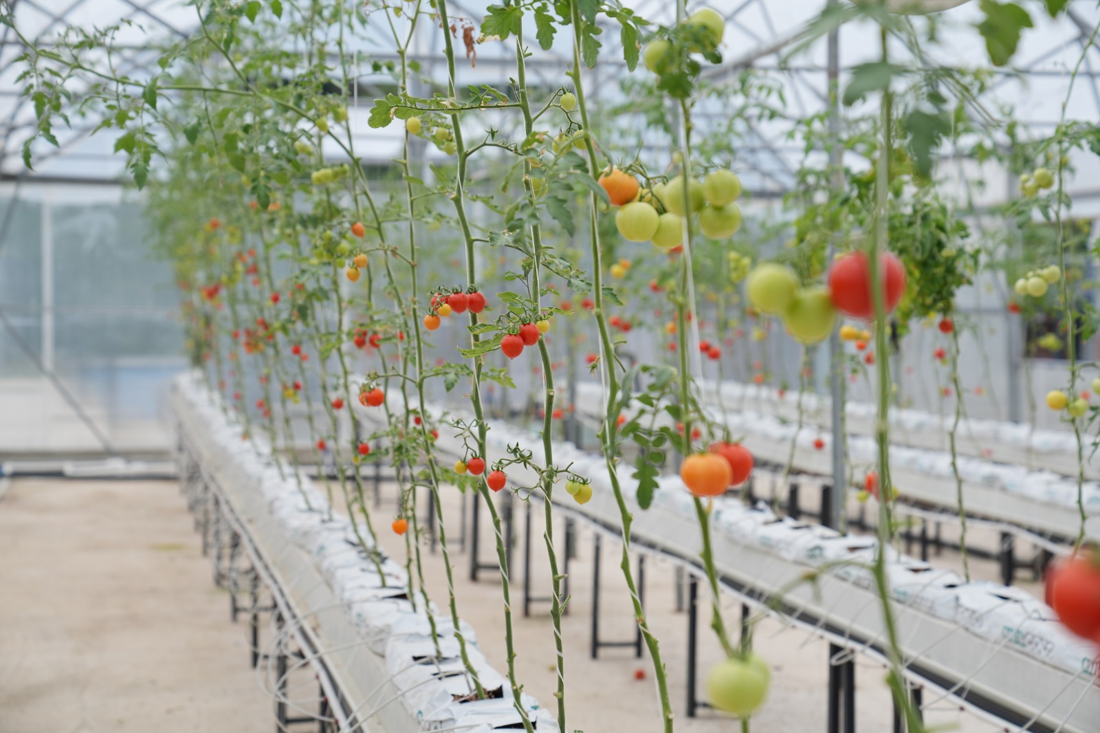 Whatsapp Image 2025 08 28 At 11.21.50