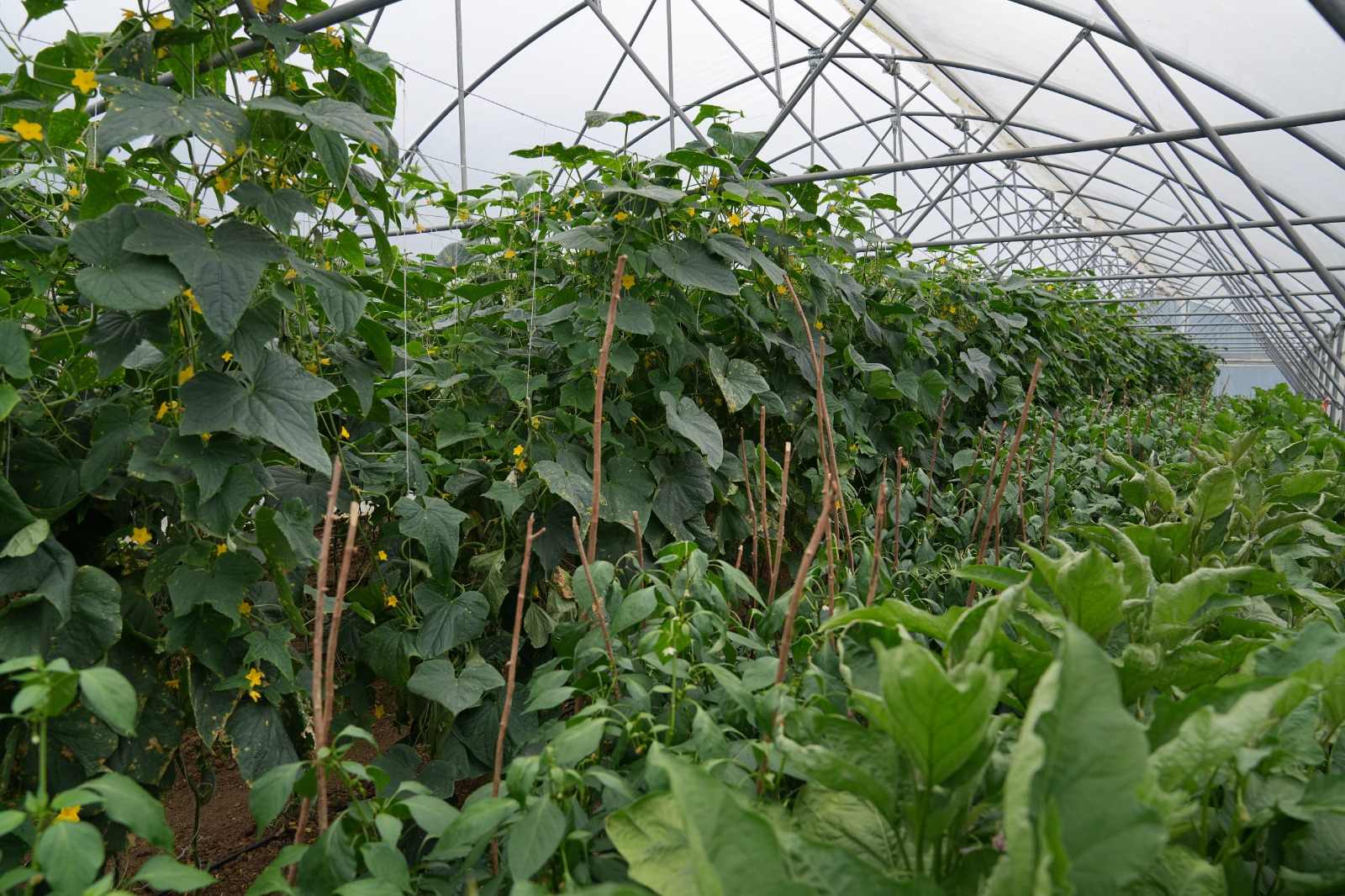 Whatsapp Image 2025 08 28 At 11.21.51 (1)