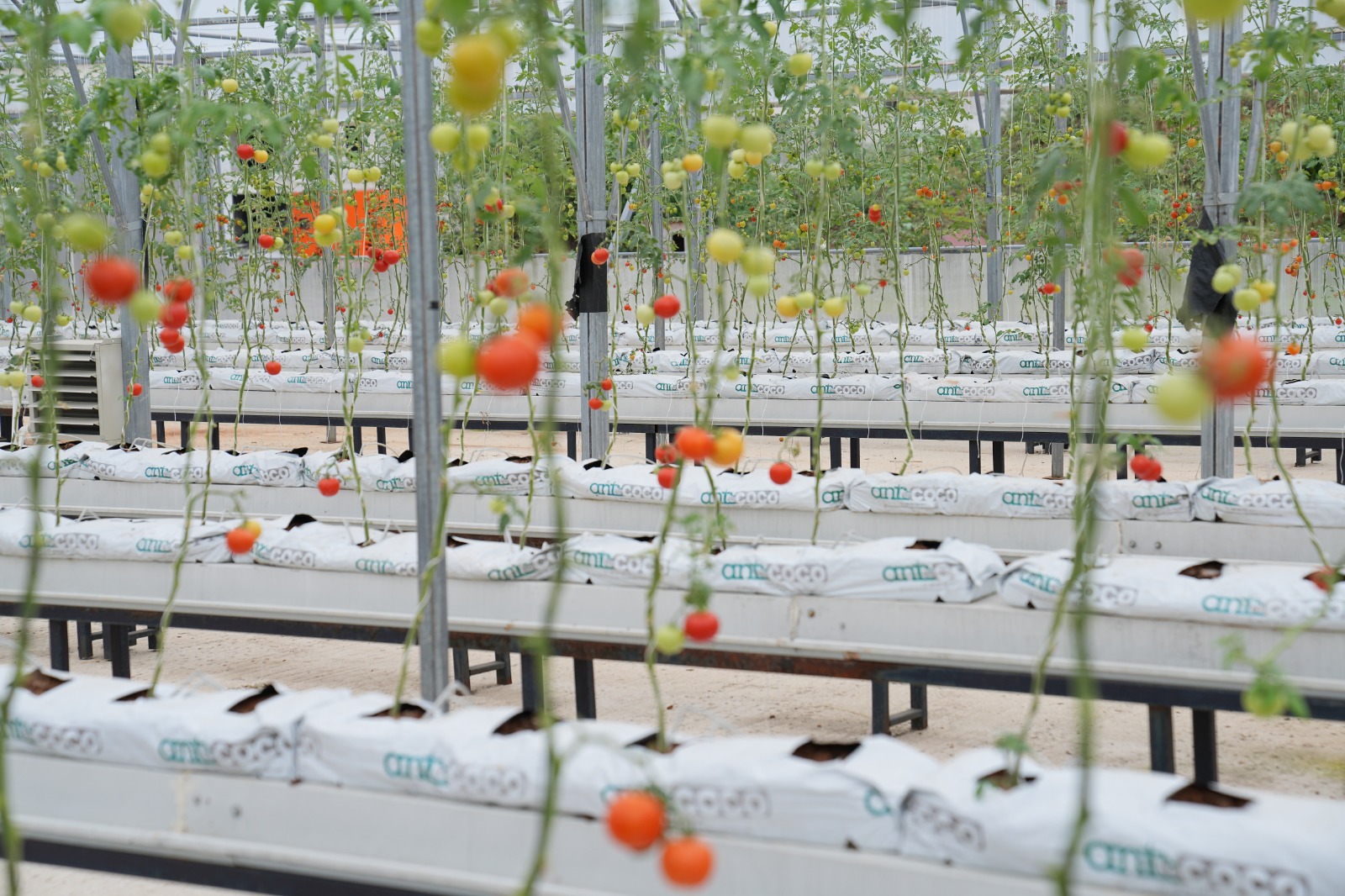 Whatsapp Image 2025 08 28 At 11.21.51