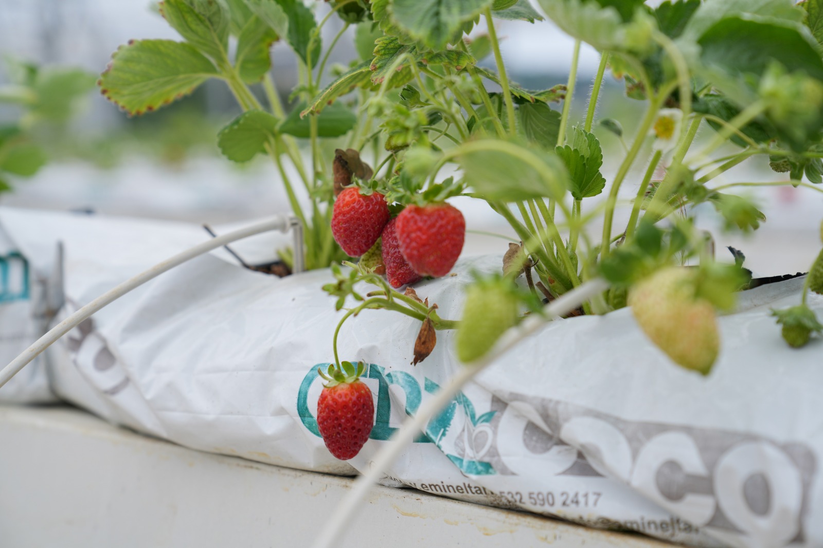 Whatsapp Image 2025 08 28 At 11.21.52