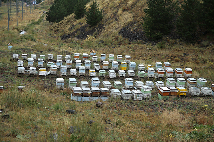 2025 09 16092025 Palandoken2