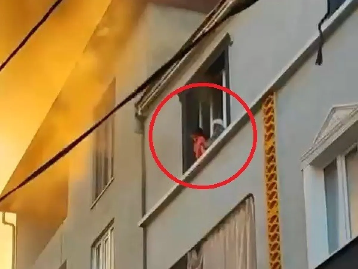 68B768906C1C2540 W1200Xh904