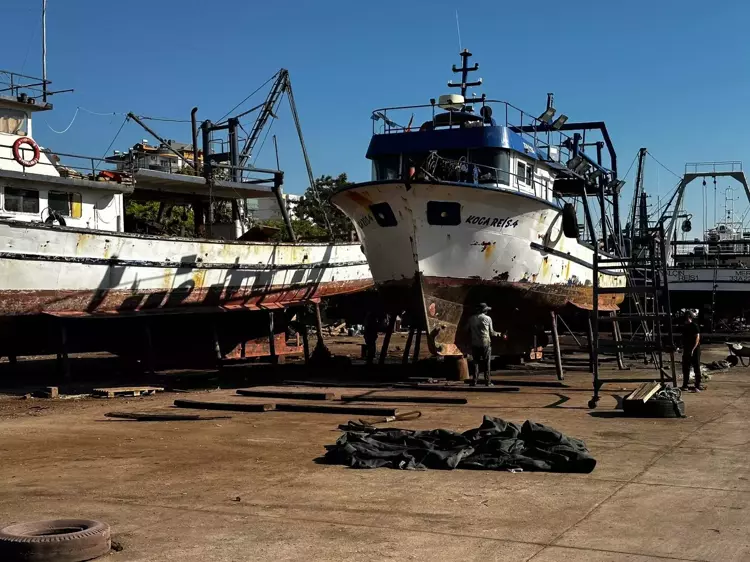 68C3Cd6B0E55099B015D9E74