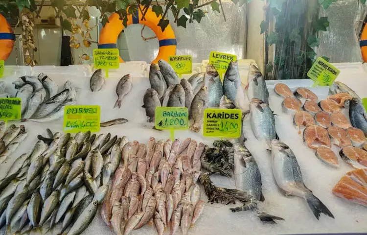 68Ccfb44D500D97442A531Cd