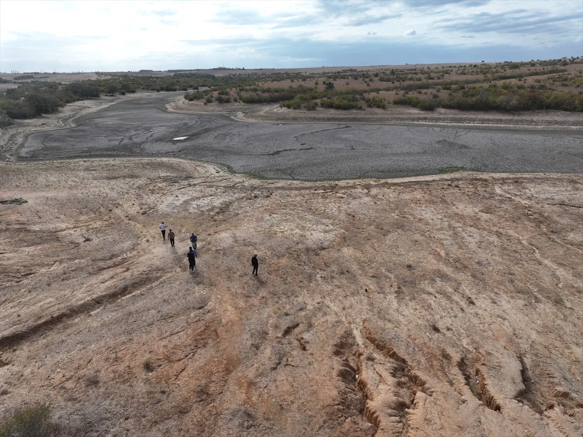 68D8Dd4E59D6F418 W1200Xh899