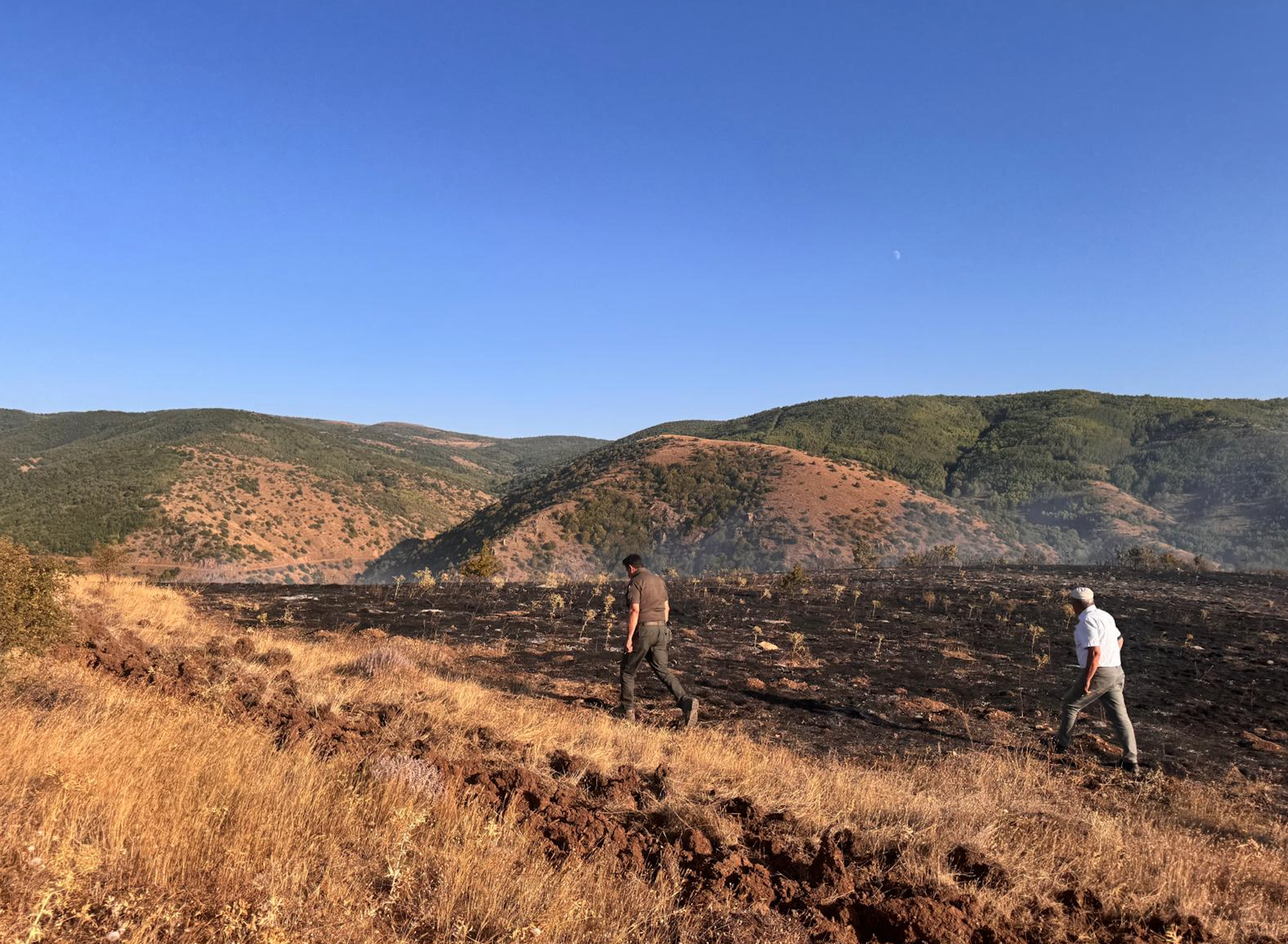 Ekran Resmi 2025 09 01 19.06.30