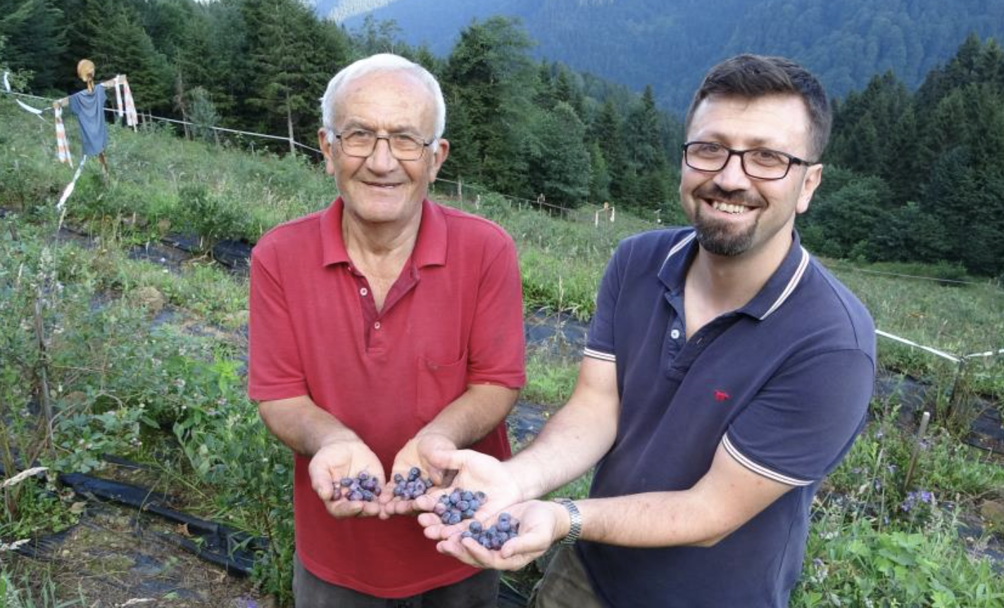 Ekran Resmi 2025 09 02 09.20.28