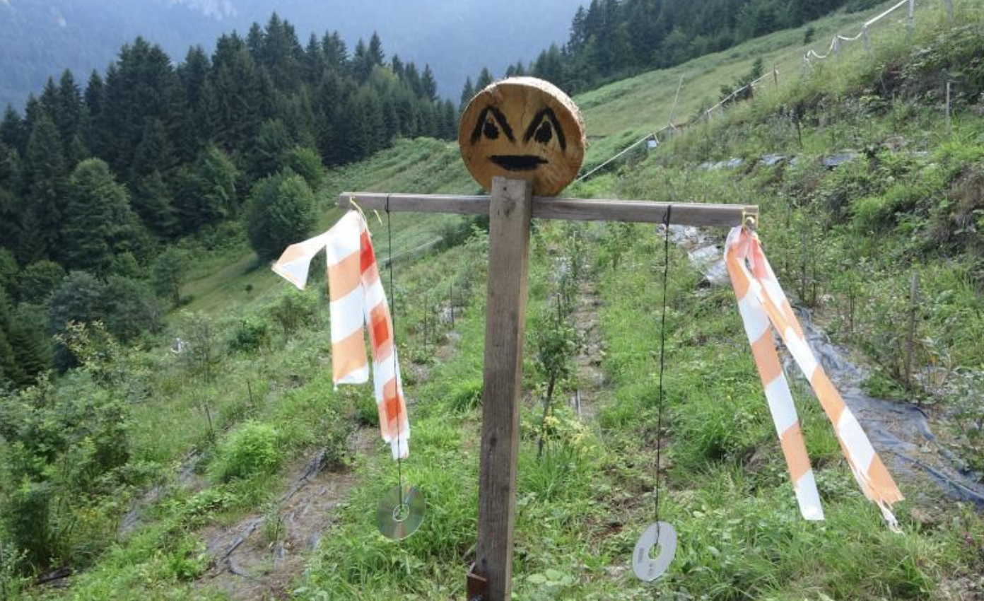 Ekran Resmi 2025 09 02 09.20.40