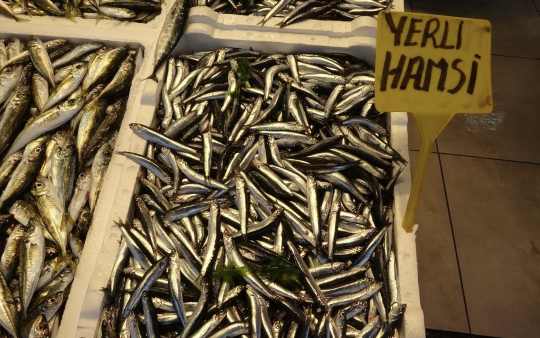 Ekran Resmi 2025 09 05 13.49.20