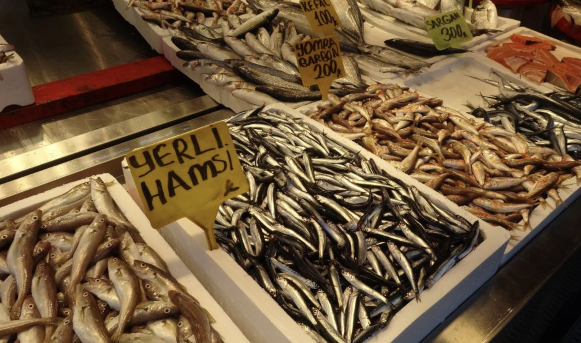 Ekran Resmi 2025 09 05 13.49.34