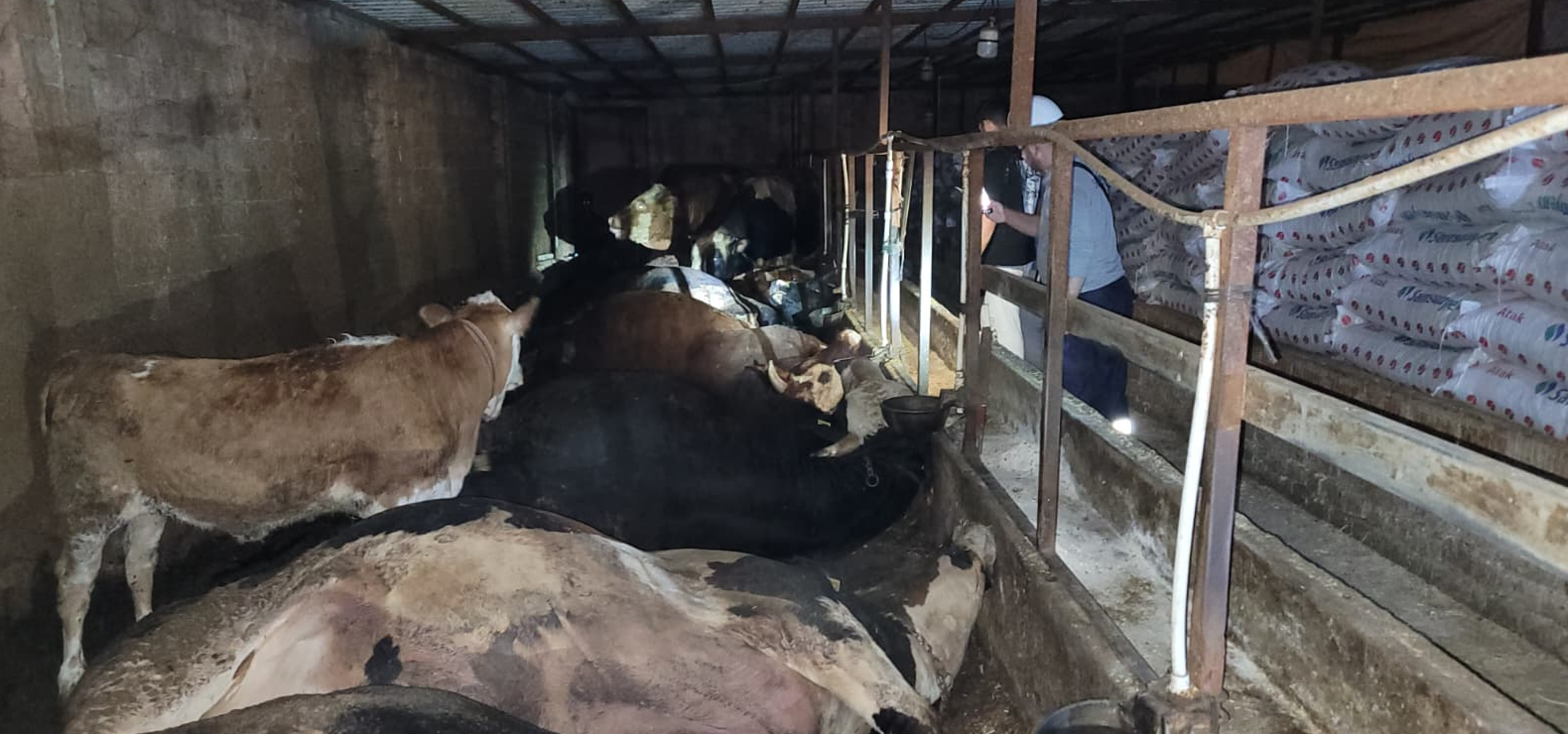 Ekran Resmi 2025 09 06 22.00.10