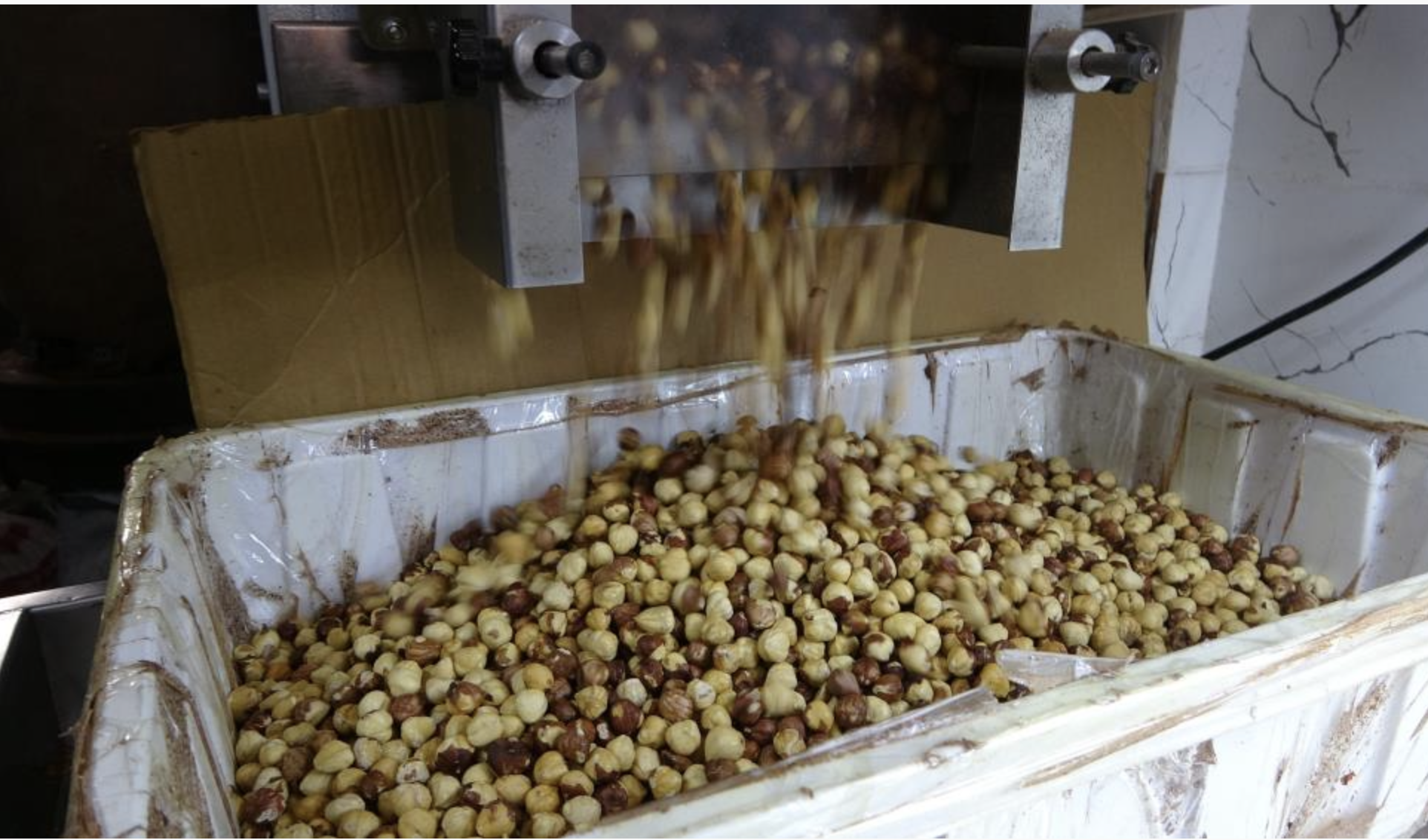 Ekran Resmi 2025 09 07 09.53.55