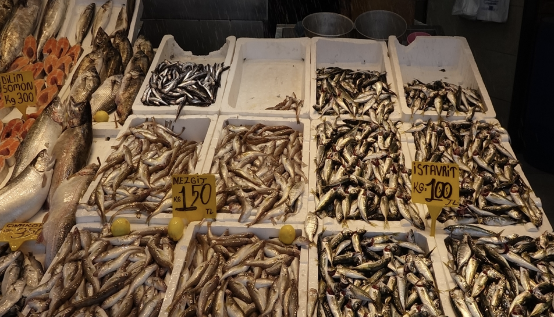 Ekran Resmi 2025 09 07 12.49.39