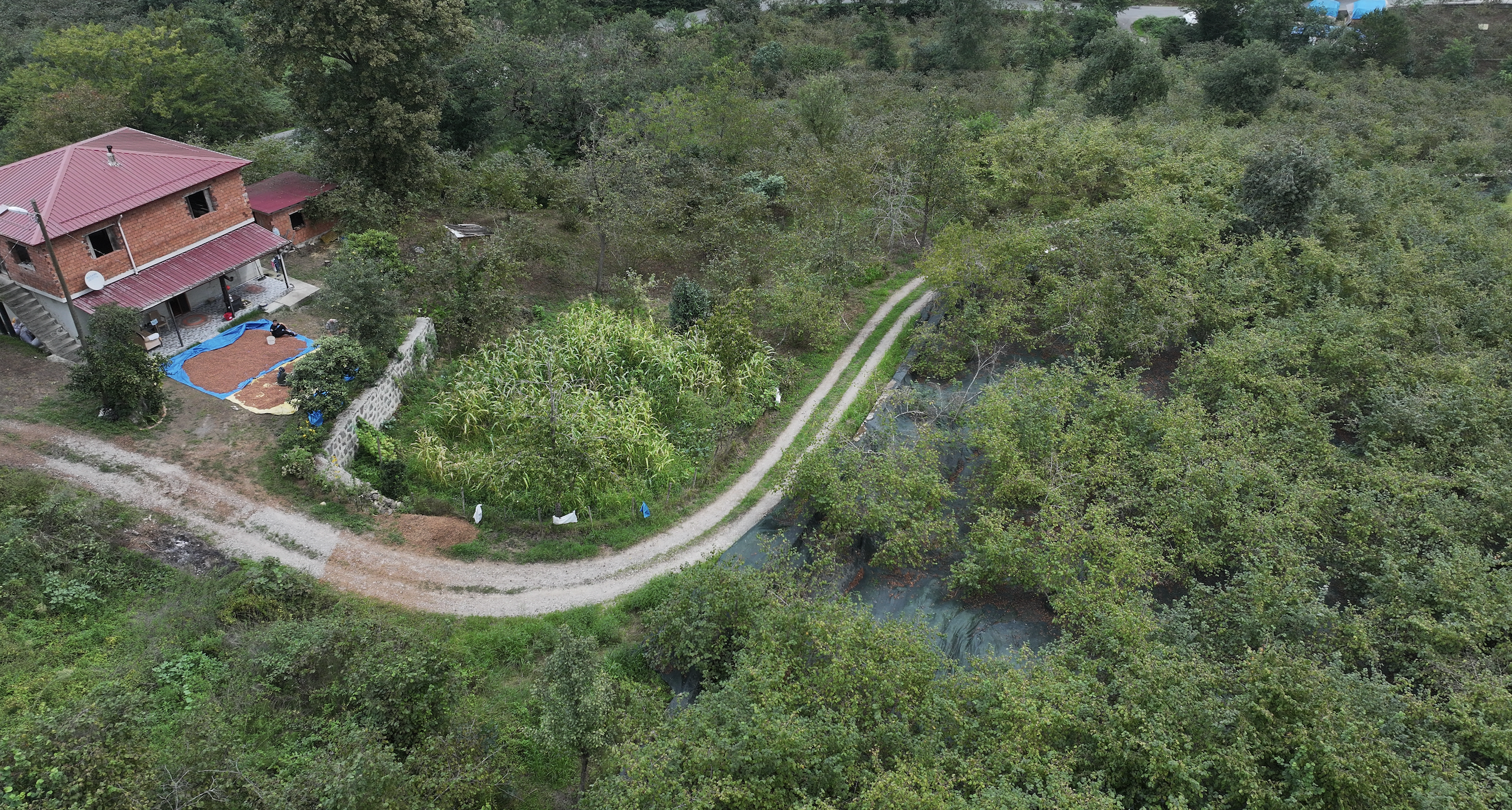 Ekran Resmi 2025 09 08 12.25.42