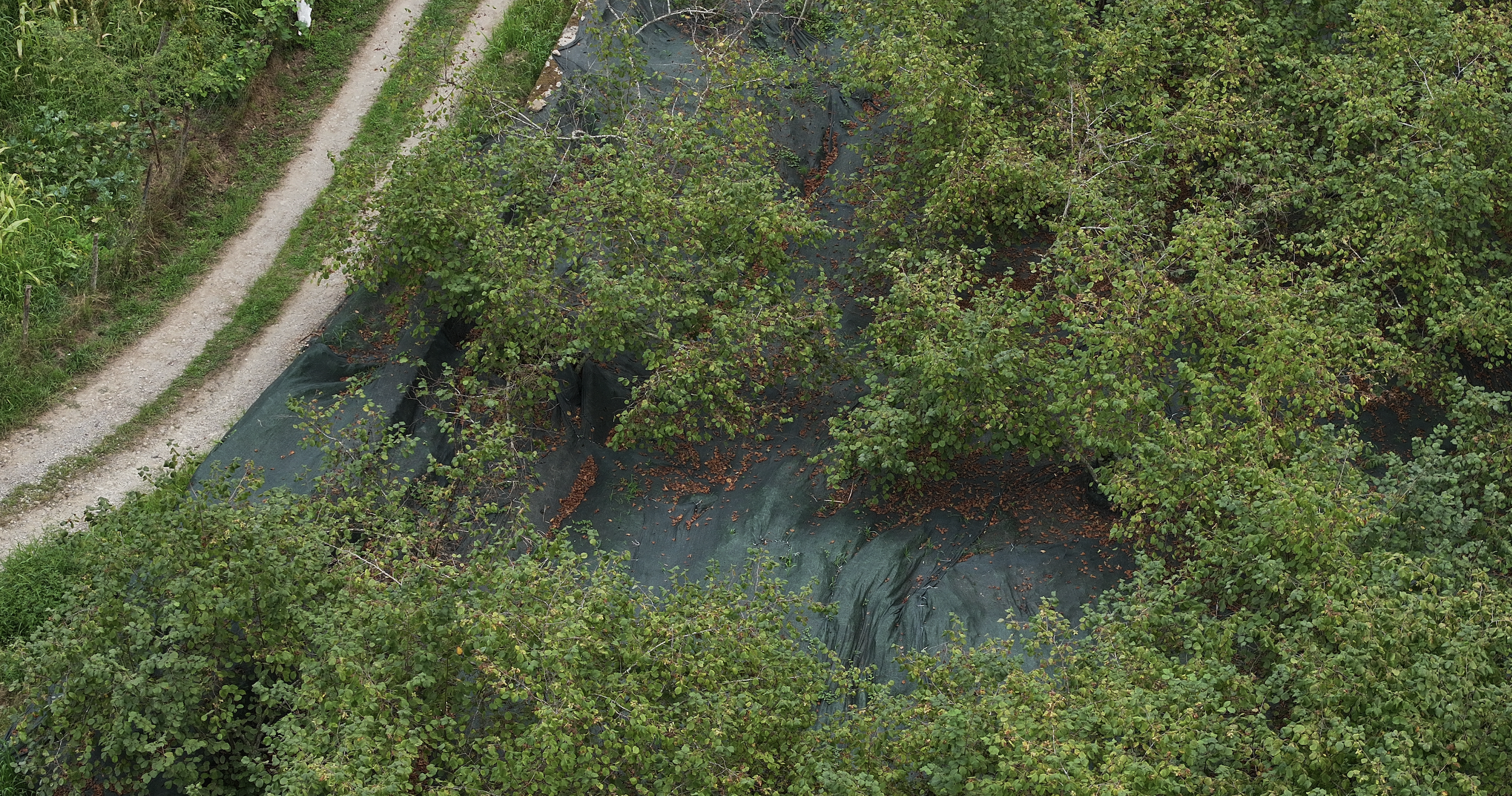 Ekran Resmi 2025 09 08 12.25.50