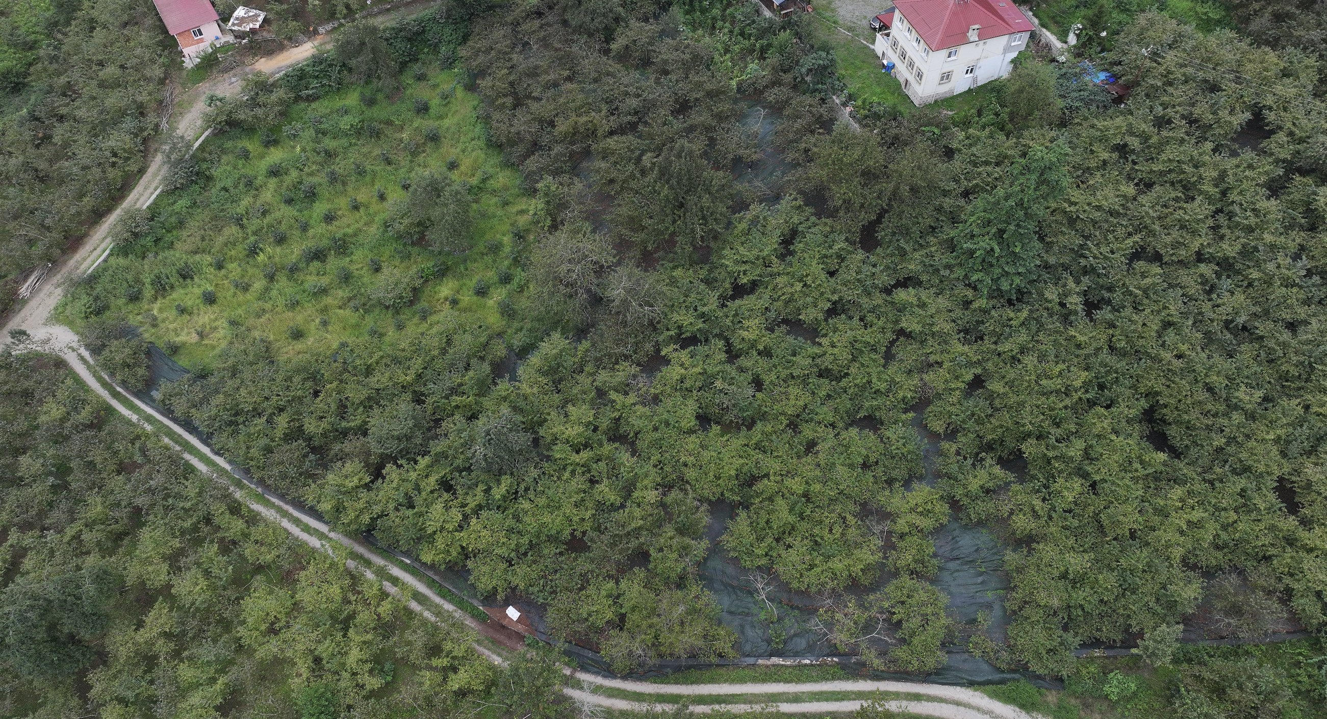 Ekran Resmi 2025 09 08 12.25.57