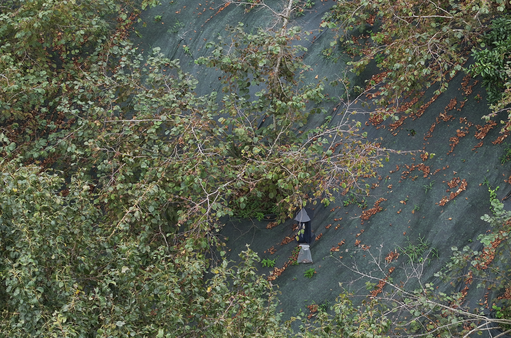 Ekran Resmi 2025 09 08 12.26.06