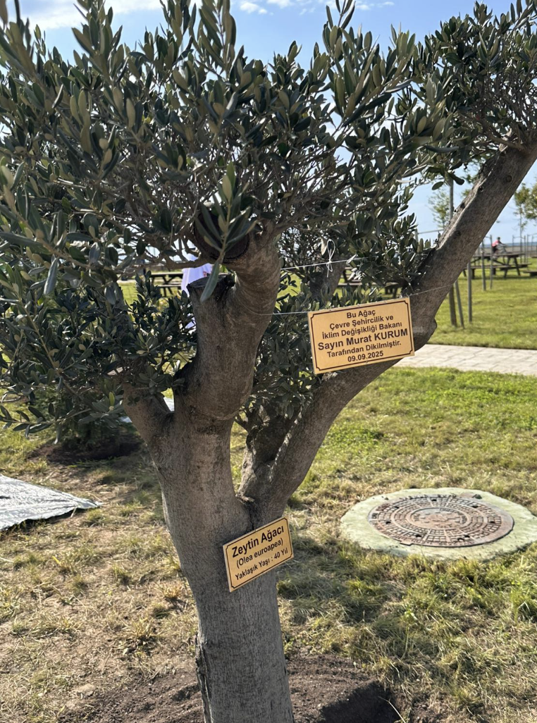 Ekran Resmi 2025 09 09 15.43.20