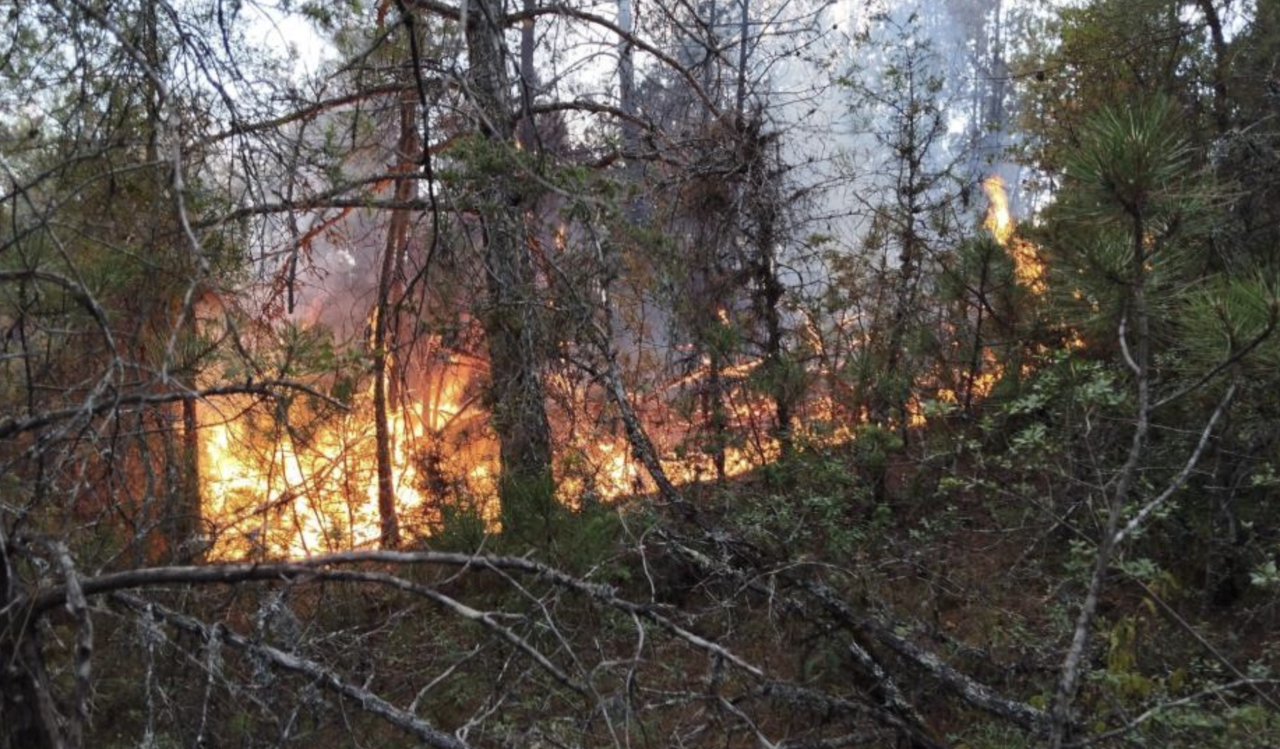 Ekran Resmi 2025 09 14 09.32.58