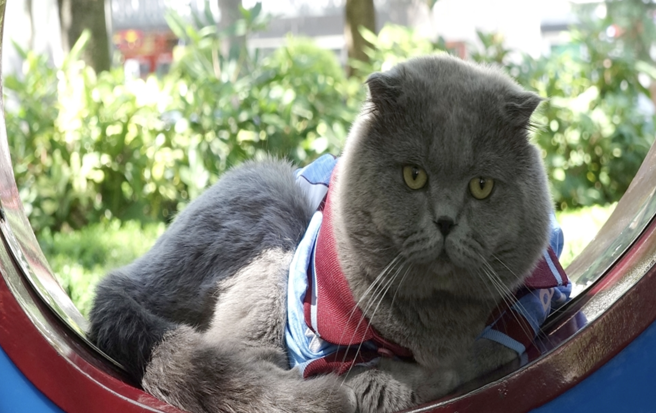 Ekran Resmi 2025 09 15 10.55.58