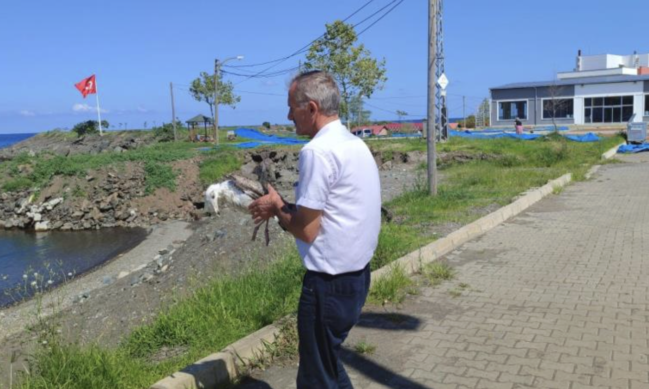 Ekran Resmi 2025 09 18 10.16.27