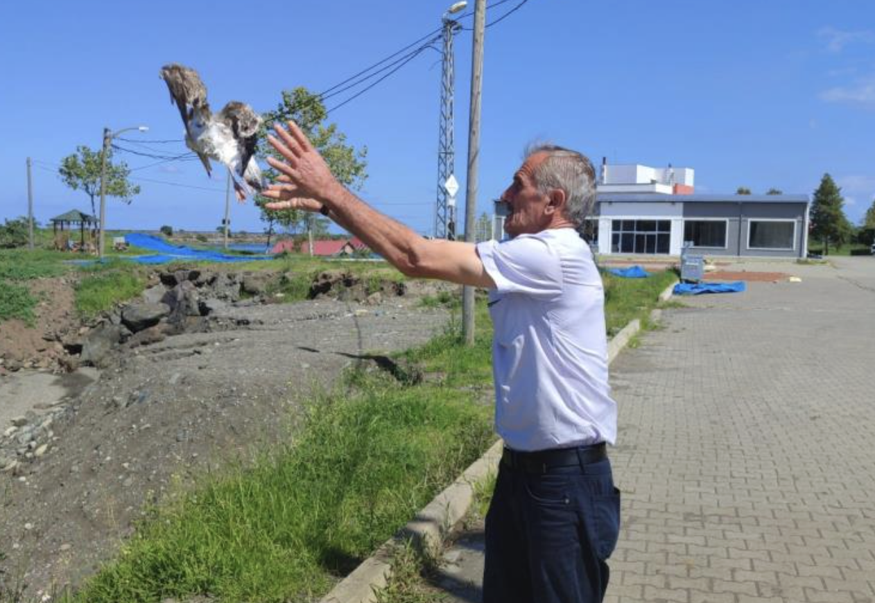 Ekran Resmi 2025 09 18 10.16.33