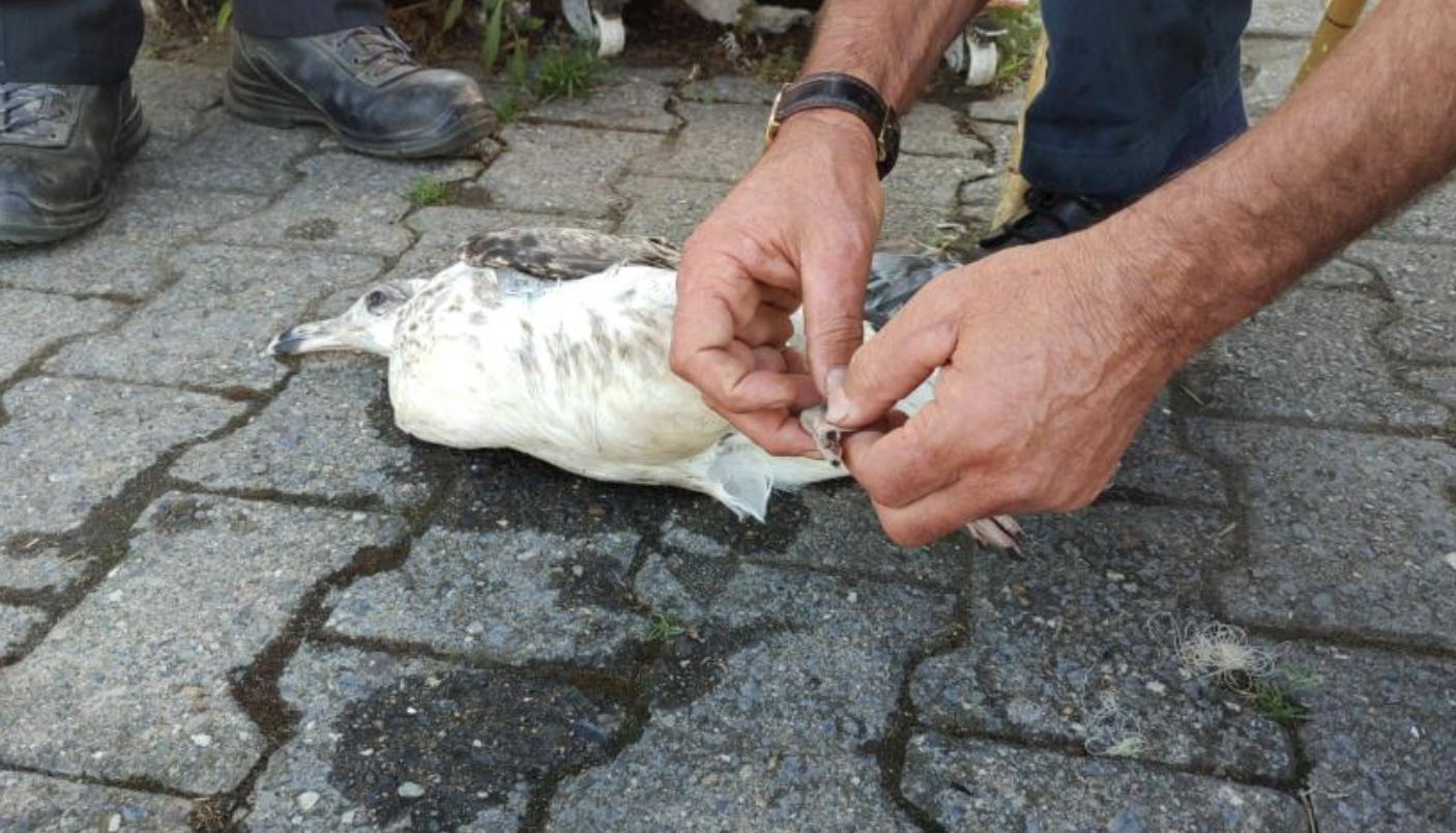 Ekran Resmi 2025 09 18 10.16.39