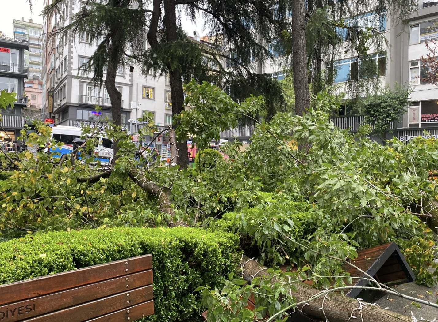 Ekran Resmi 2025 09 18 15.44.12