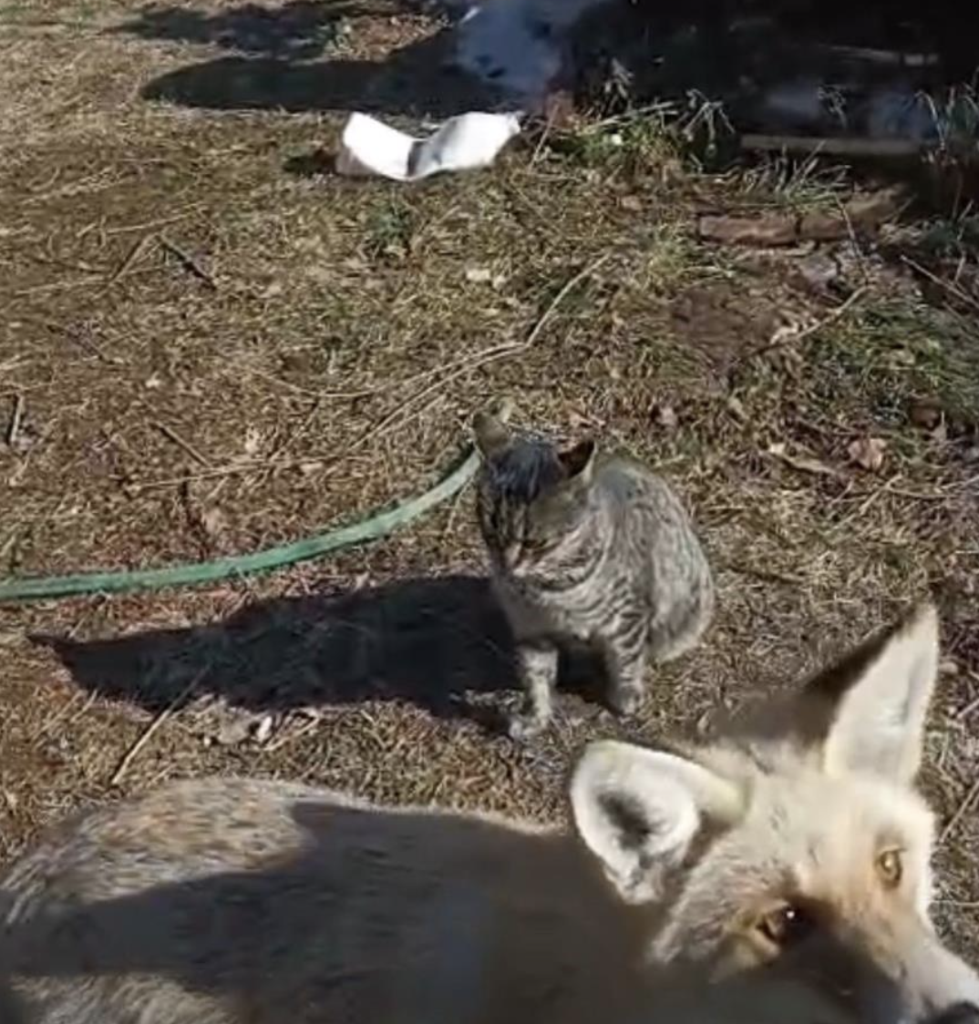 Ekran Resmi 2025 09 19 10.18.30