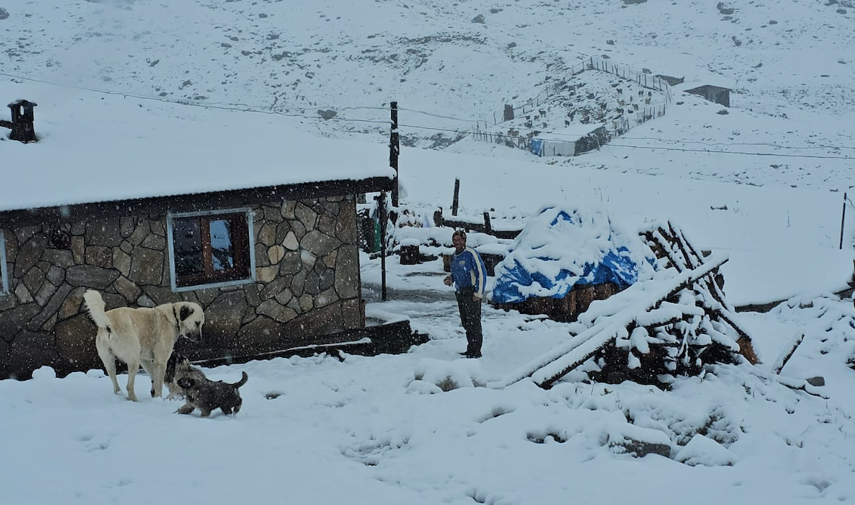 Ekran Resmi 2025 09 19 11.50.26