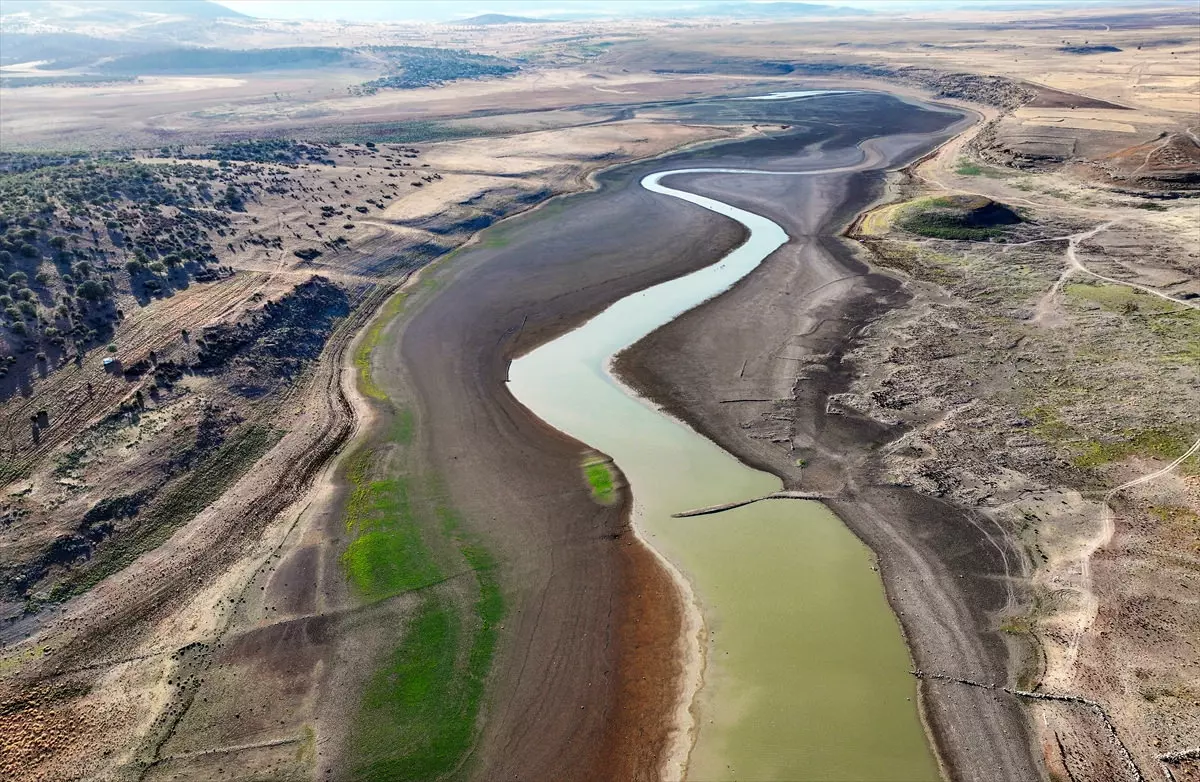 F65 Fv 1757583787 8775