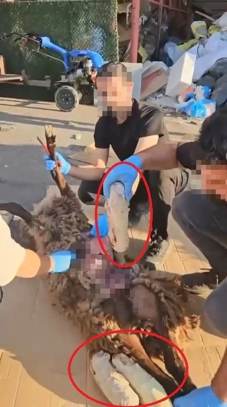 Olukoyununkarnindauyusturucusevkiyat909455270229Jpg 2 Masfh868 U6 O C S7Bqg A F N A