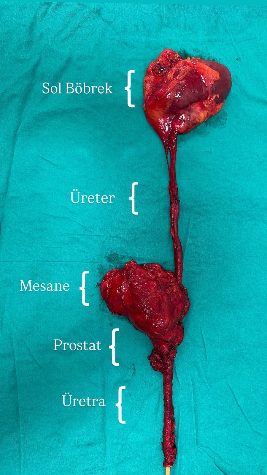 Whatsapp Image 2025 09 12 At 21.18.52