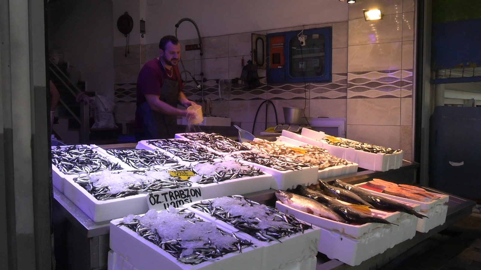 Whatsapp Image 2025 09 17 At 15.55.16