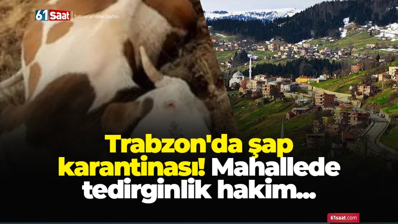 Whatsapp Image 2025 09 30 At 08.15.43