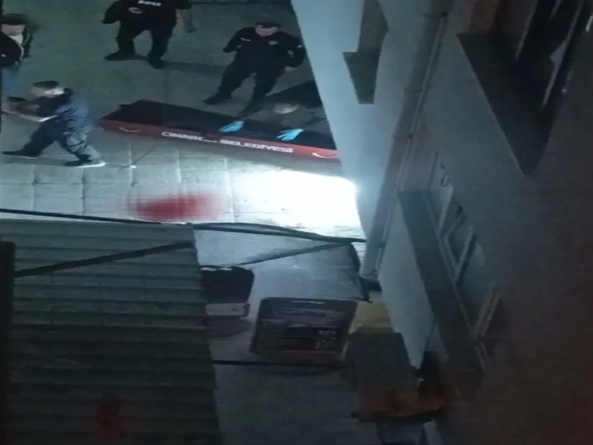 68Ee339Bd799C582 W1200Xh900