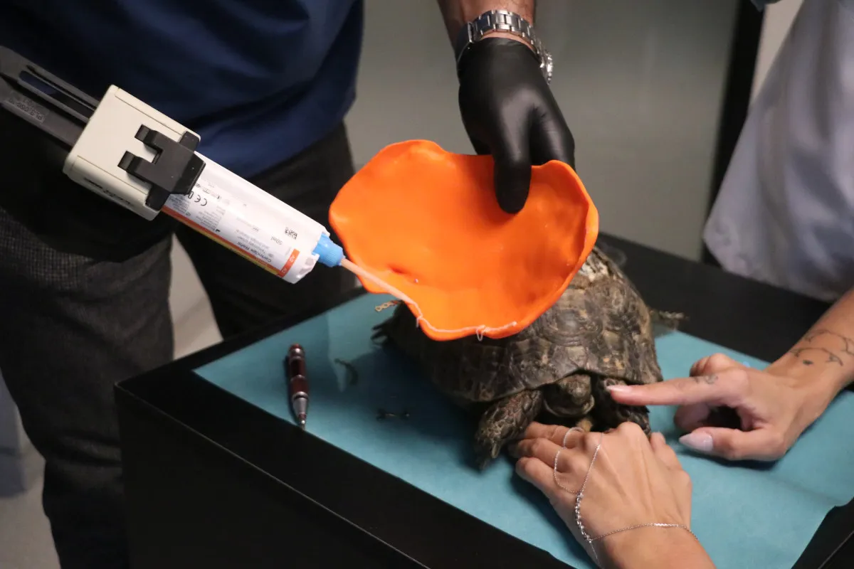 68F4Cab4Eefef105 W1200Xh800