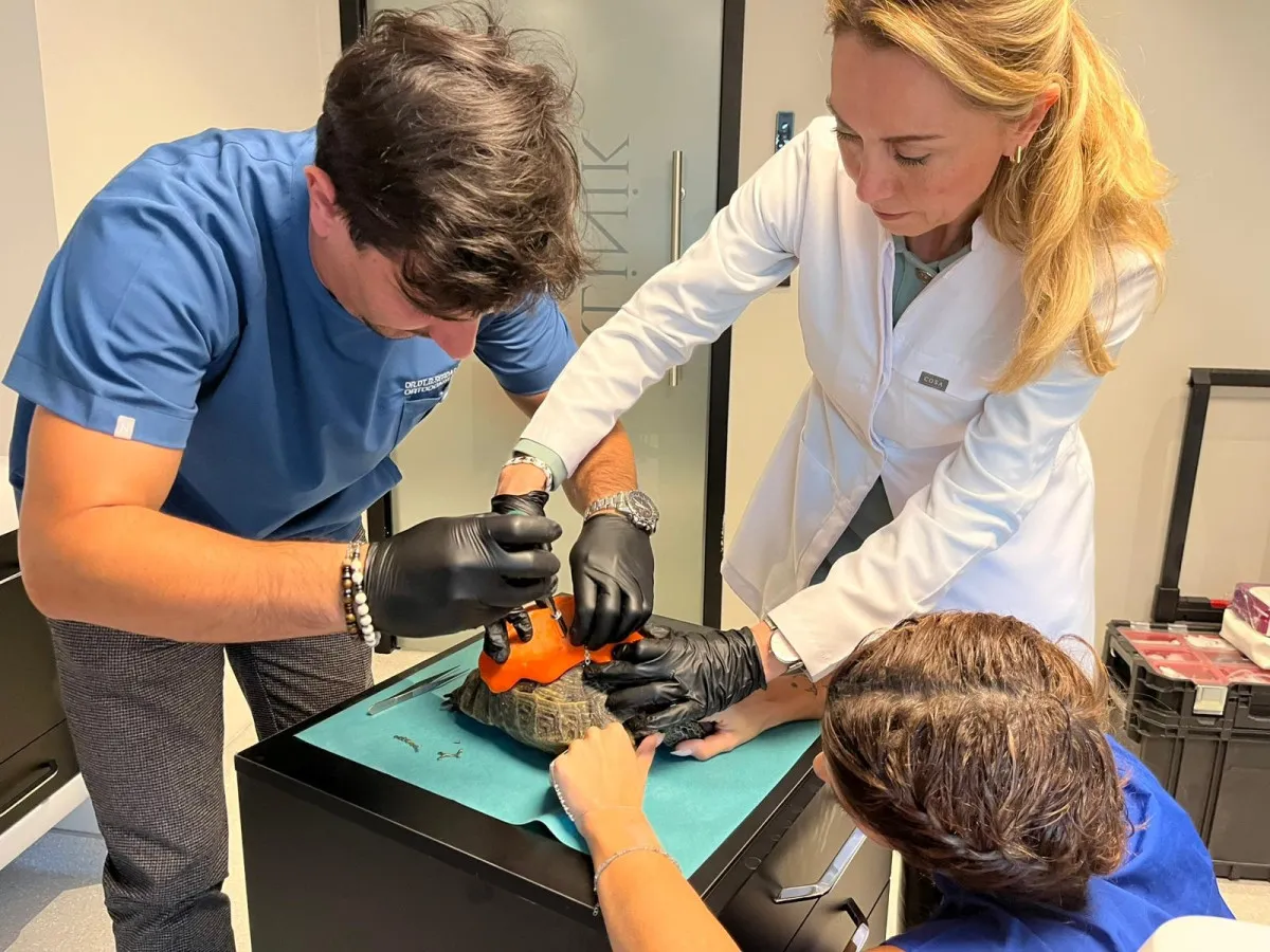 68F4Cacd81348608 W1200Xh900