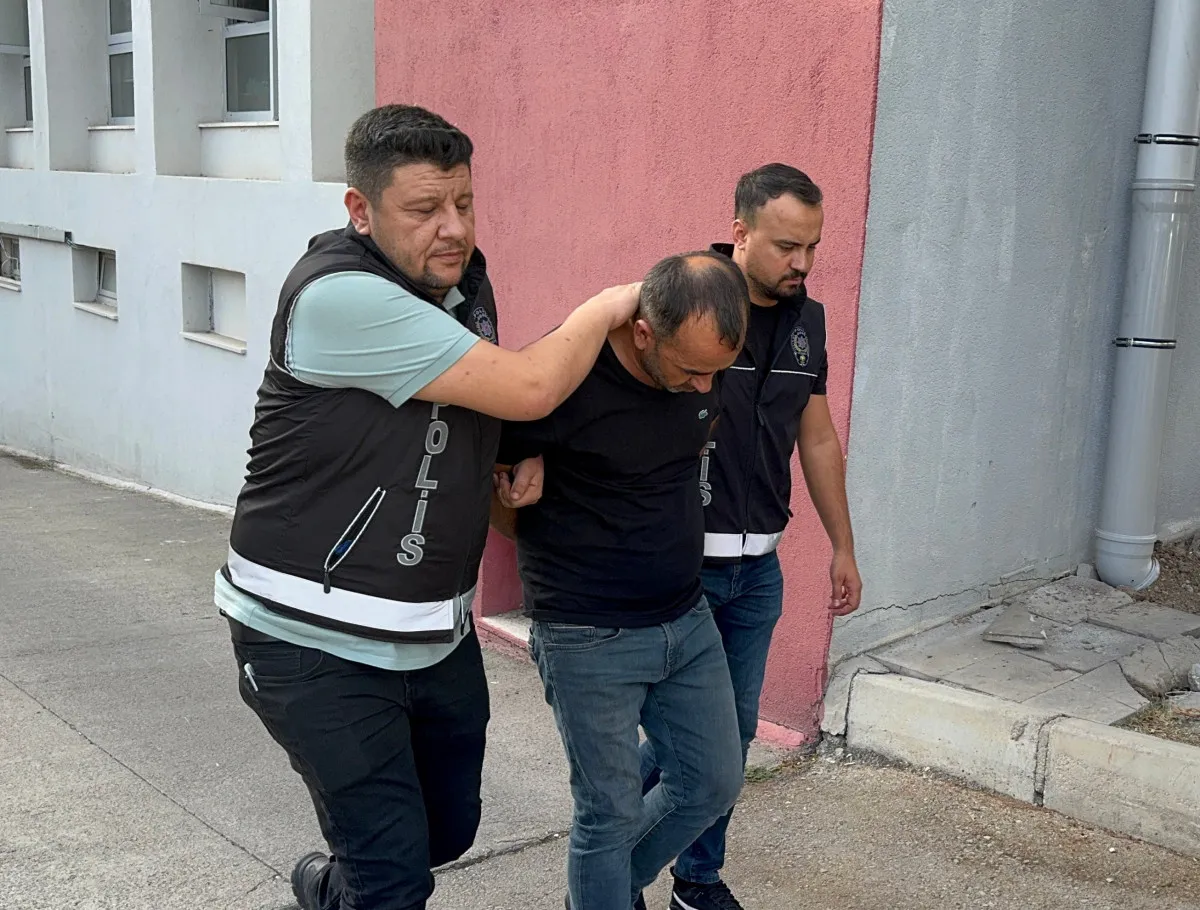 68Fc7D43D6A91375 W1200Xh910