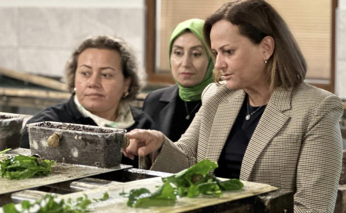 Ekran Resmi 2025 10 01 12.08.50