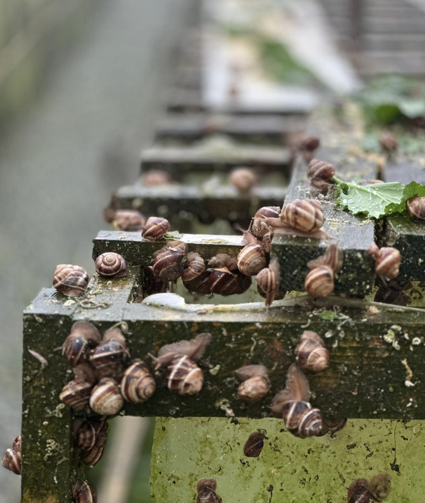 Ekran Resmi 2025 10 01 12.08.58