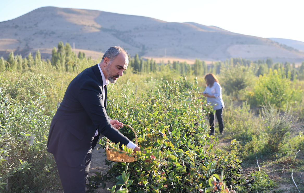 Ekran Resmi 2025 10 04 15.44.17