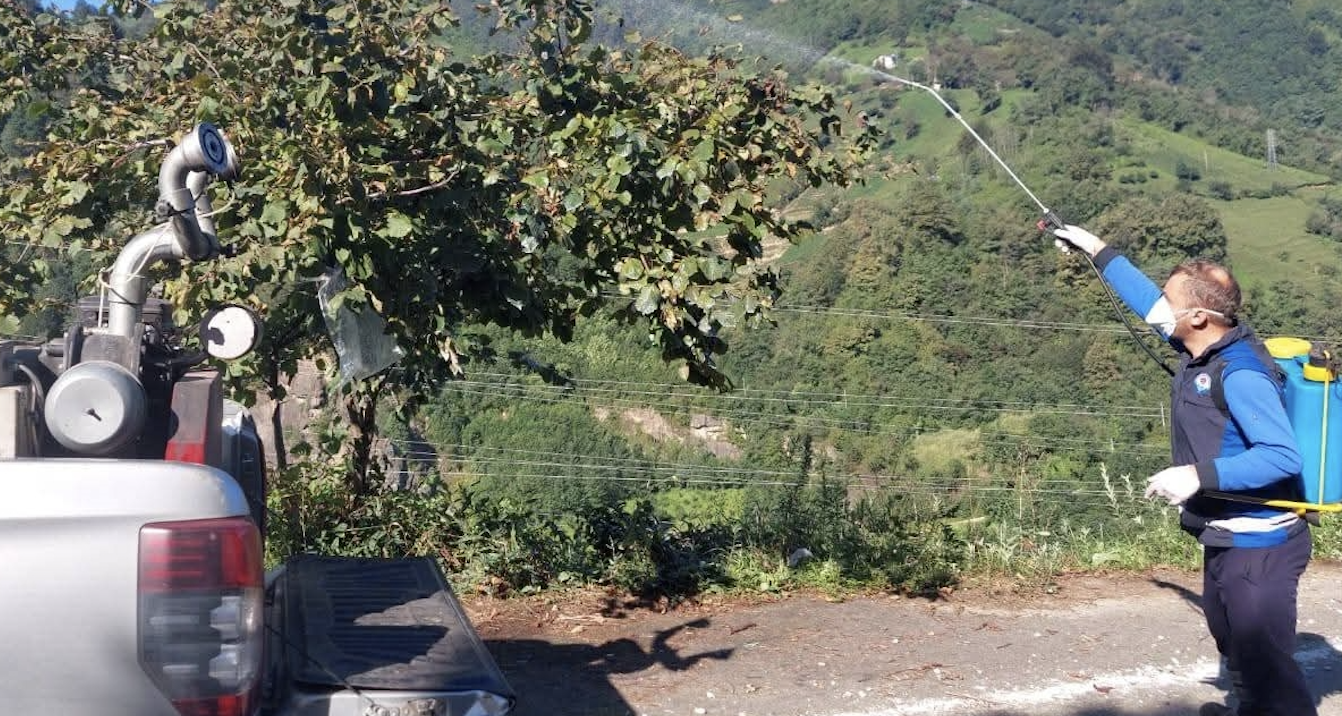 Ekran Resmi 2025 10 06 17.26.40