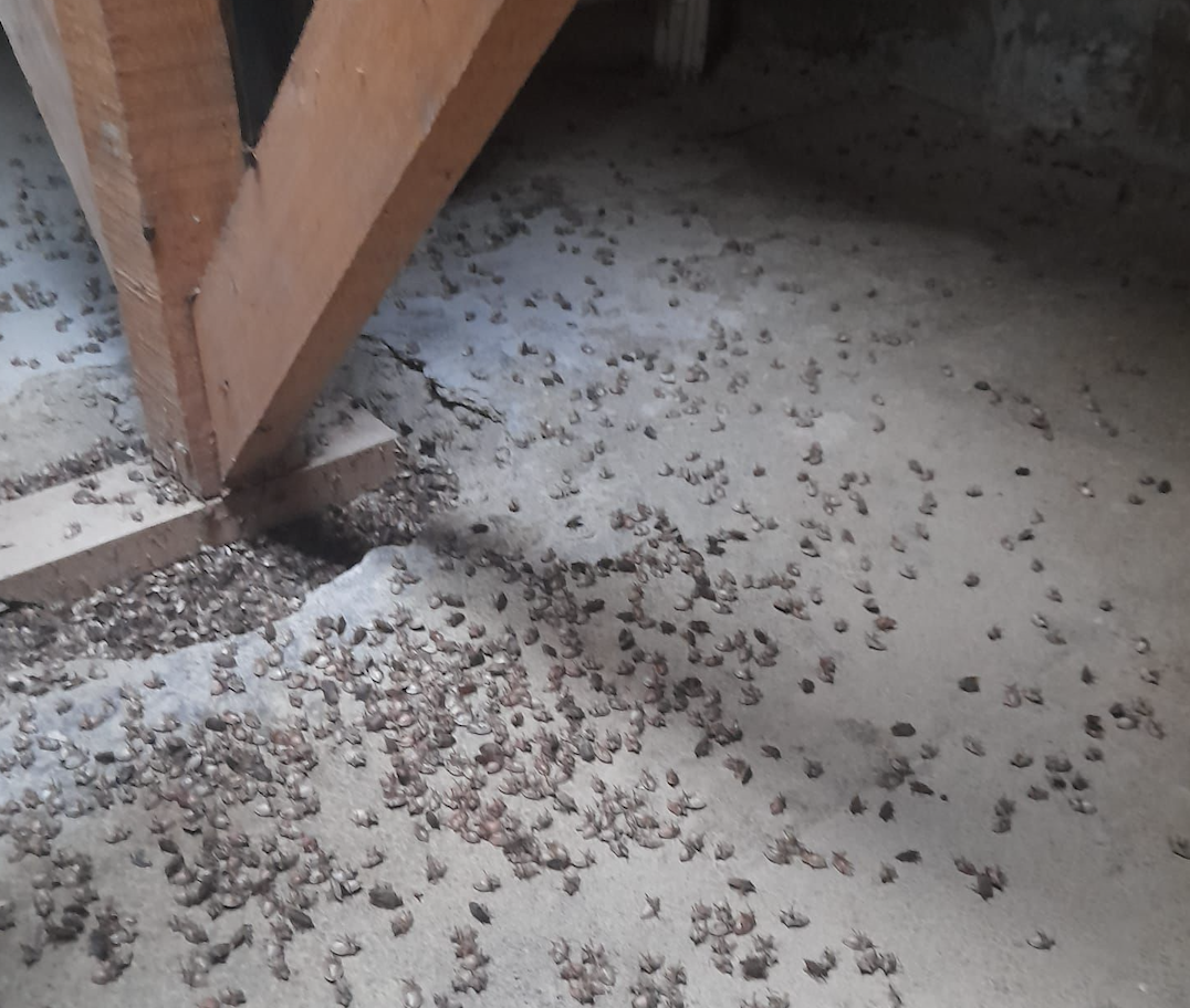 Ekran Resmi 2025 10 08 11.32.59